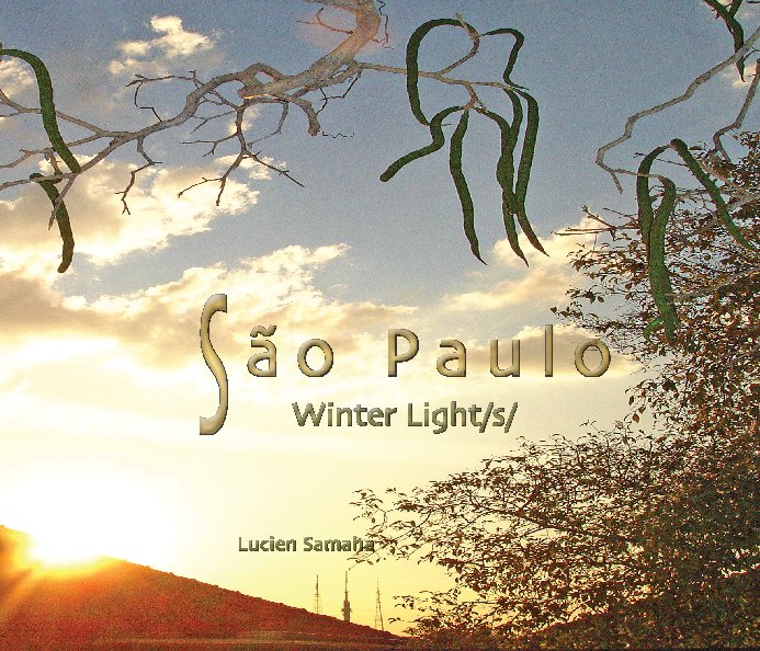 Ver São Paulo Winter Light/s/ (soft cover) por Lucien Samaha