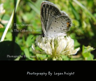 Tiny Creatures & The Colors of Nature book cover