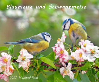 Blaumeisen-Schwanzmeisen book cover