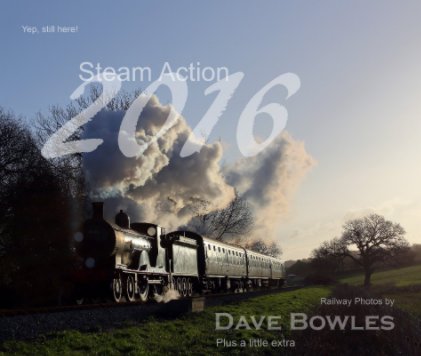 Steam Action 2016 book cover