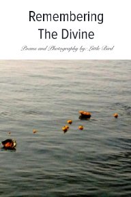 Remembering The Divine book cover