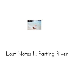 Lost Notes II book cover