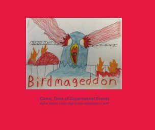 BIRDMAGEDDON book cover