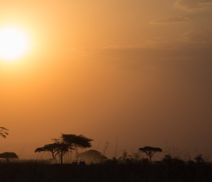 View East Africa by Domenic Murabito