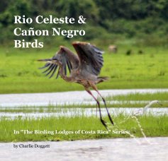 Rio Celeste & Cañon Negro Birds book cover