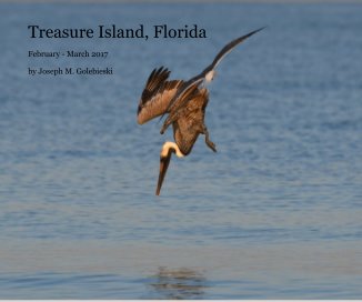 Treasure Island, Florida 2017 book cover