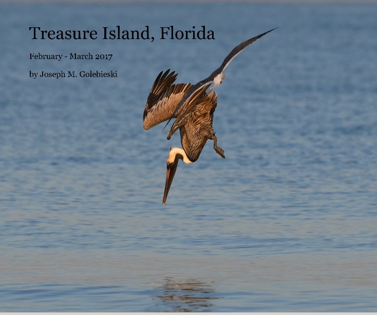 View Treasure Island, Florida 2017 by Joseph M. Golebieski
