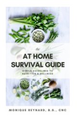 The At Home Survival Guide book cover