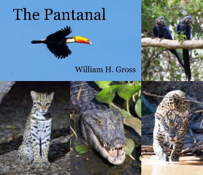 The Pantanal book cover