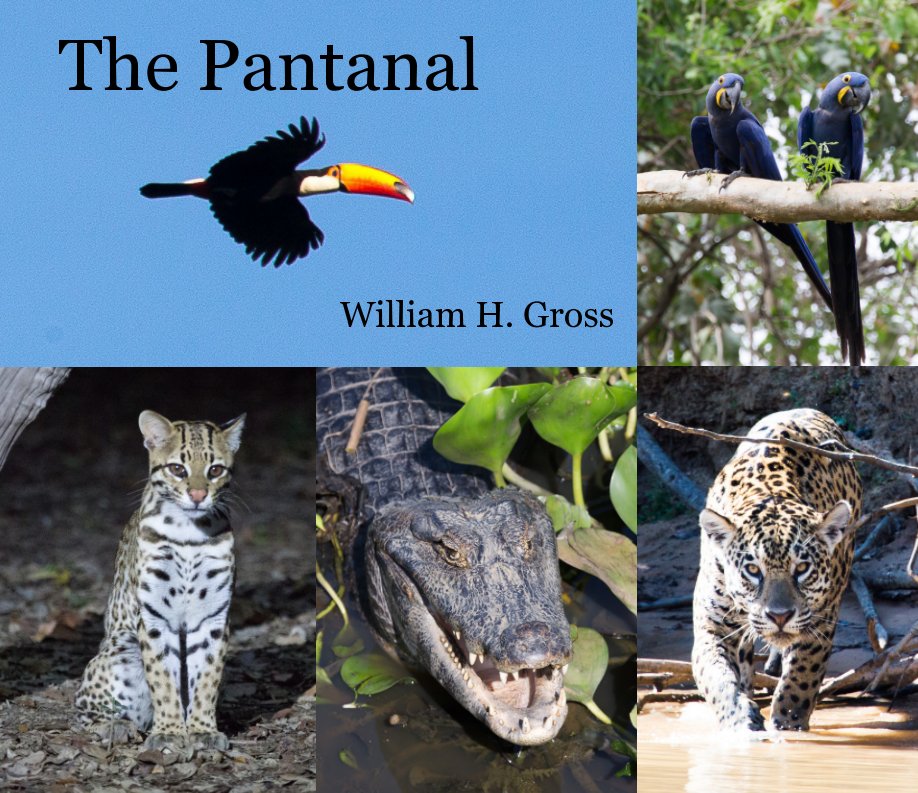 Visualizza The Pantanal di William H. Gross