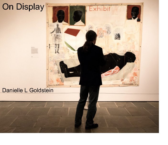 View On Display by Danielle L Goldstein