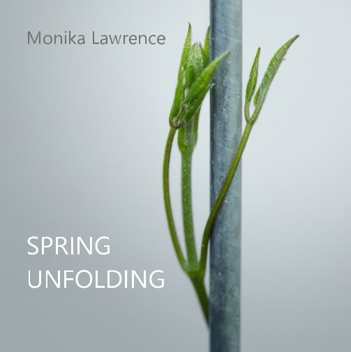 View Spring Unfolding by Monika Lawrence