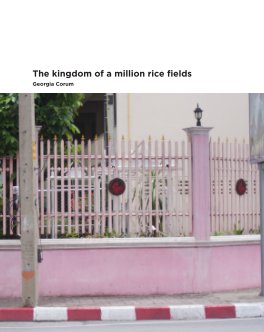 The kingdom of a million rice fields book cover