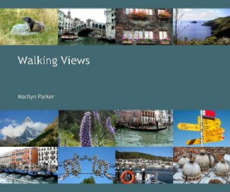 Walking Views book cover