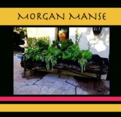Morgan Manse book cover
