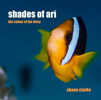 shades of ari book cover