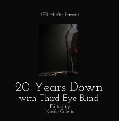 3EB MISFITS PRESENT: 20 Years Down with Third Eye Blind book cover