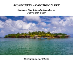 Adventures at Anthony's Key book cover