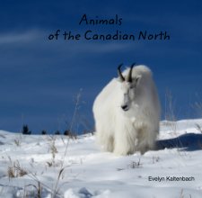Animals of the Canadian North book cover