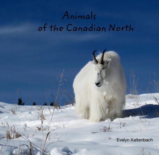 Animals of the Canadian North nach Evelyn Kaltenbach anzeigen