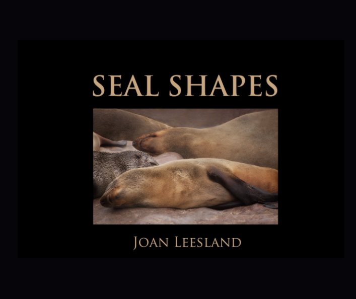 Bekijk SEAL SHAPES op JOAN LEESLAND