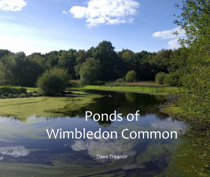 View Ponds of Wimbledon Common by Dave Treanor
