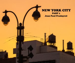 New York city part 1 book cover
