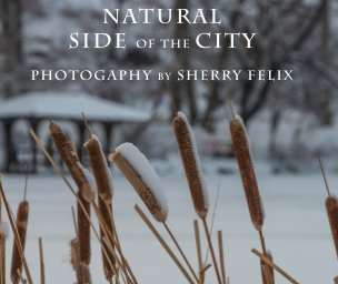 Natural Side of the City [soft cover] book cover