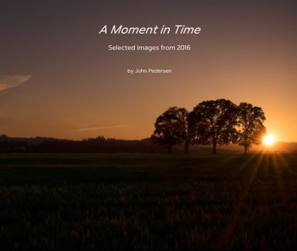 A Moment in Time Selected images from 2016 book cover