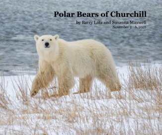 Polar Bears of Churchill book cover