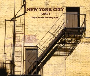 New York city part 3 book cover