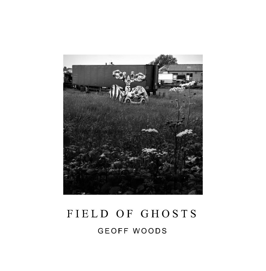 View Field Of Ghosts by Geoff Woods
