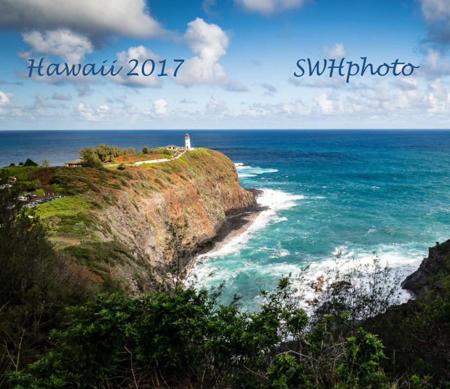 View Hawaii 2017 by Steven Hillmann