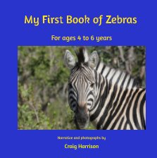 My First Book of Zebras book cover