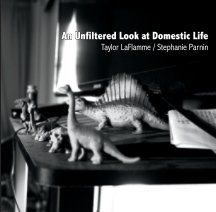 An Unfiltered Look at Domestic Life book cover
