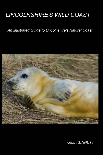View Lincolnshire's Wild Coast by Gill Kennett