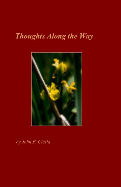 View Thoughts Along the Way by John F. Ciesla
