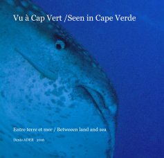 Vu à Cap Vert /Seen in Cape Verde book cover