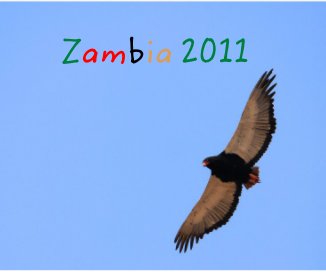 Zambia 2011 book cover