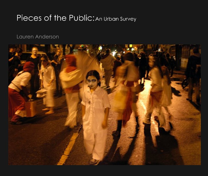 View Pieces of the Public: An Urban Survey by Lauren Anderson