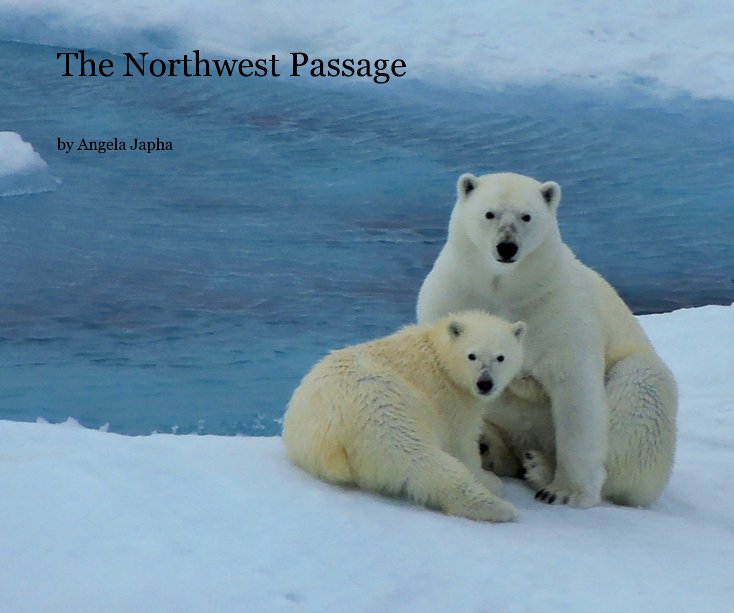 View The Northwest Passage by Angela Japha