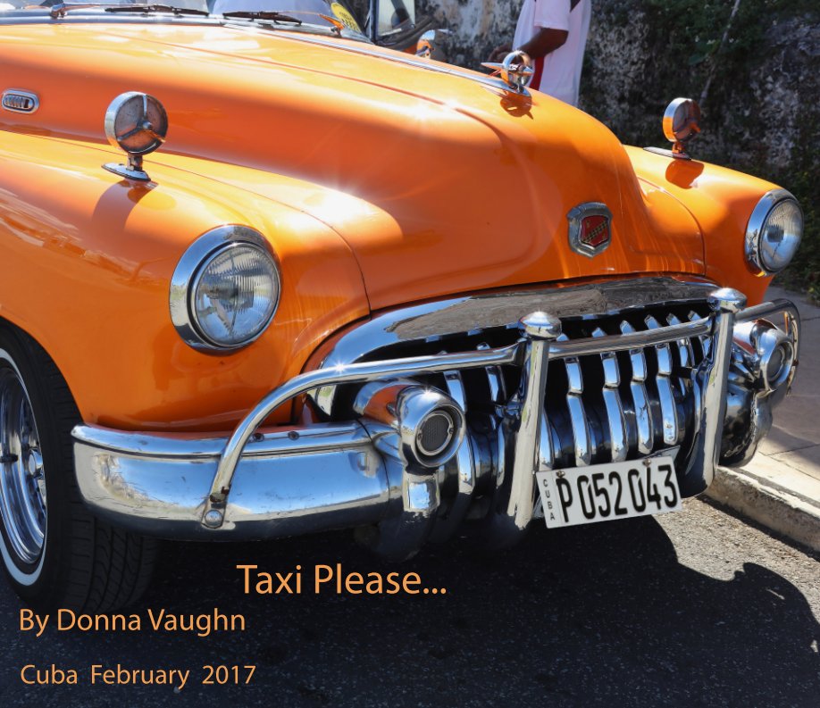 View Taxi Please by Donna Vaughn