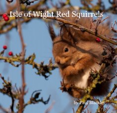 Isle of Wight Red Squirrels book cover