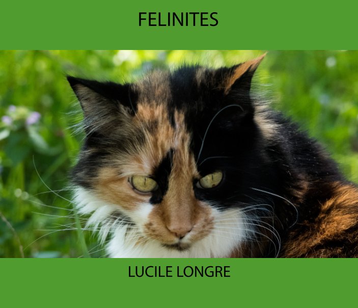 Bekijk Félinités op Lucile Longre