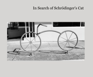 In Search of Schrödinger's Cat book cover