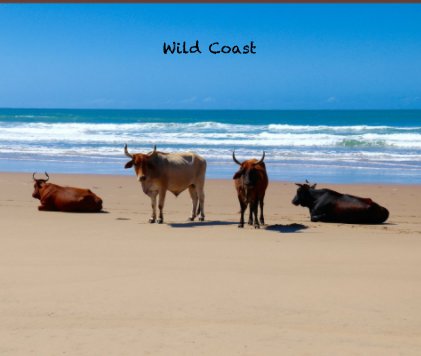 Wild Coast book cover
