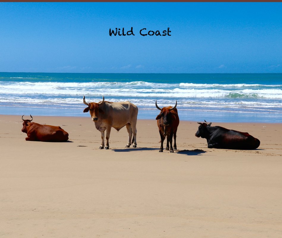 Ver Wild Coast por Stacy Lyn Images