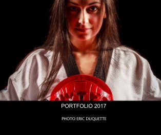 PORTFOLIO 2017 book cover