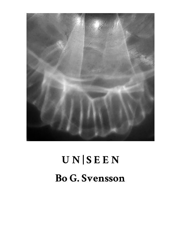View Un|Seen by Bo G. Svensson