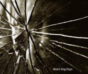 Black Dog Days book cover